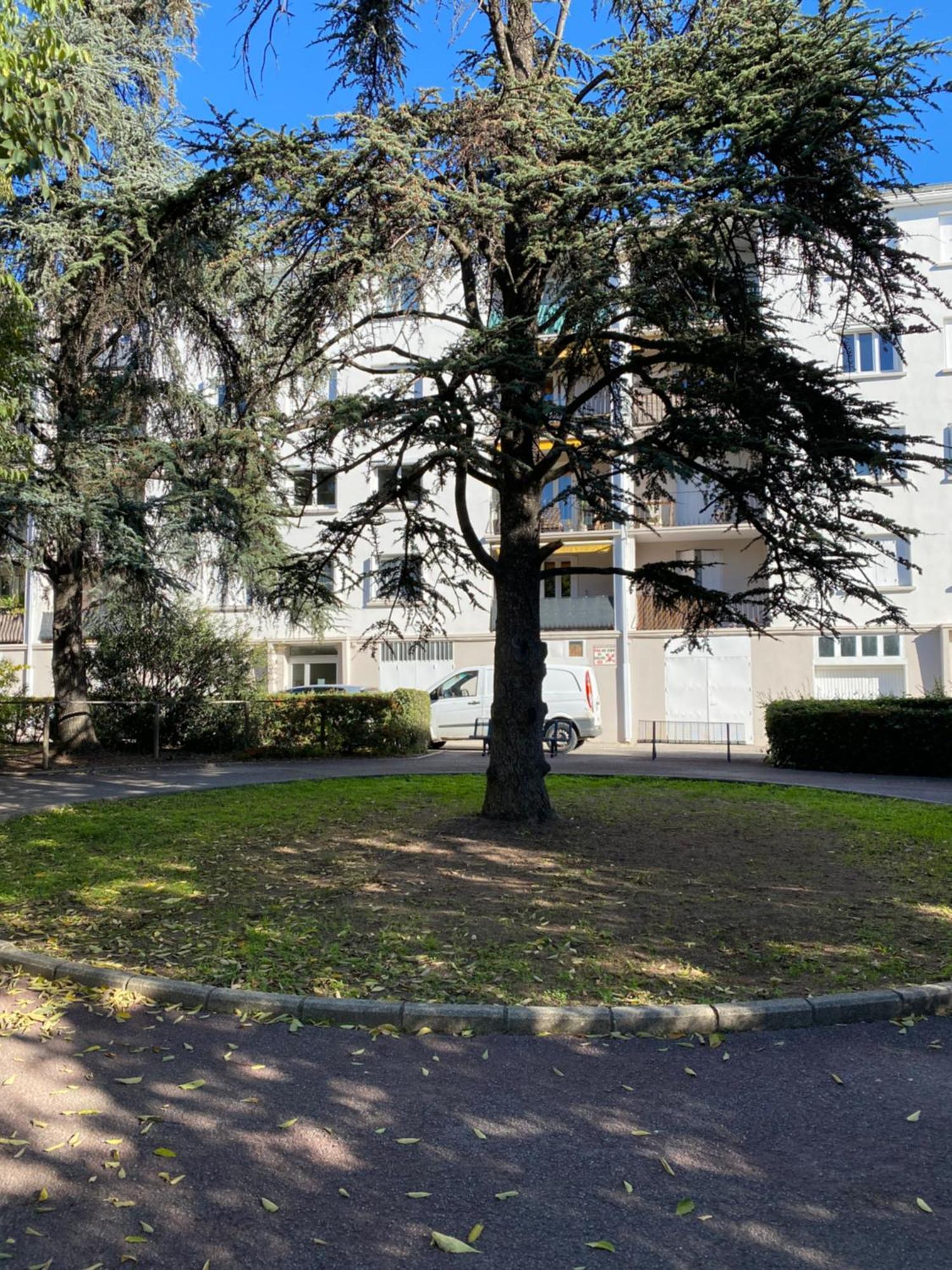 Appartement Rosaluz Montpellier Exteriér fotografie